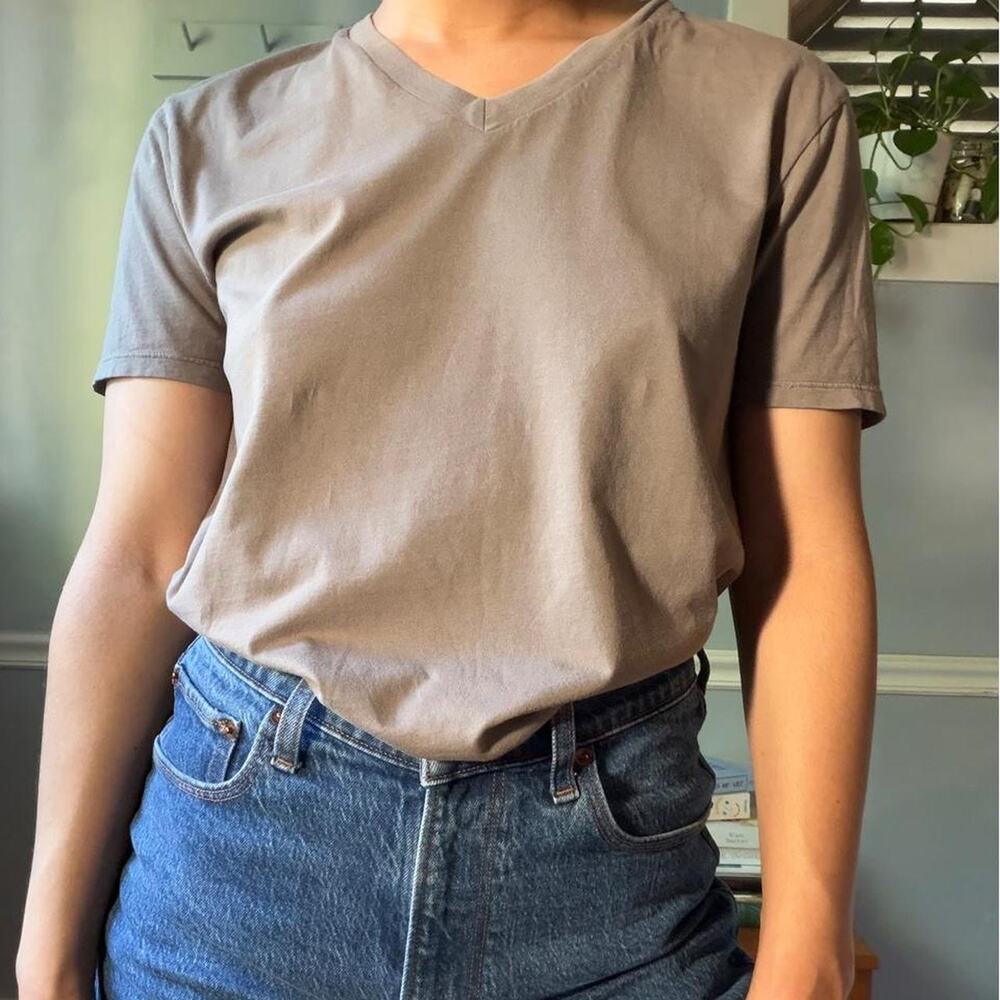 Everlane gray cotton v-neck tee